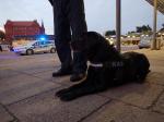Funkcjonariusze Zachodniopomorskiego Urzędu Celno-Skarbowego w Szczecinie, wspólnie z funkcjonariuszami zachodniopomorskiej Policji i Straży Granicznej oraz Inspekcją Transportu Drogowego, przeprowadzą na terenie województwa zachodniopomorskiego działania ukierunkowane na kontrole kierujących pojazdami wykonującymi krajowy przewóz drogowy osób (taxi, przewozy na aplikację, przewozy regularne i okazjonalne).