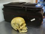 Zdjęcie bagaż i czaszki