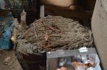 nielegalny susz tytoniowy przechowywany w niehigienicznych warunkach